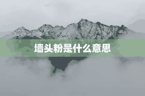 墙头粉是什么意思